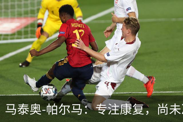 马泰奥-帕尔马：专注康复，尚未决定国家队归属